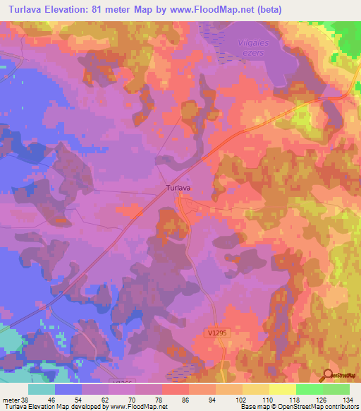 Turlava,Latvia Elevation Map