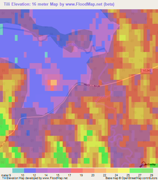 Tili,Latvia Elevation Map