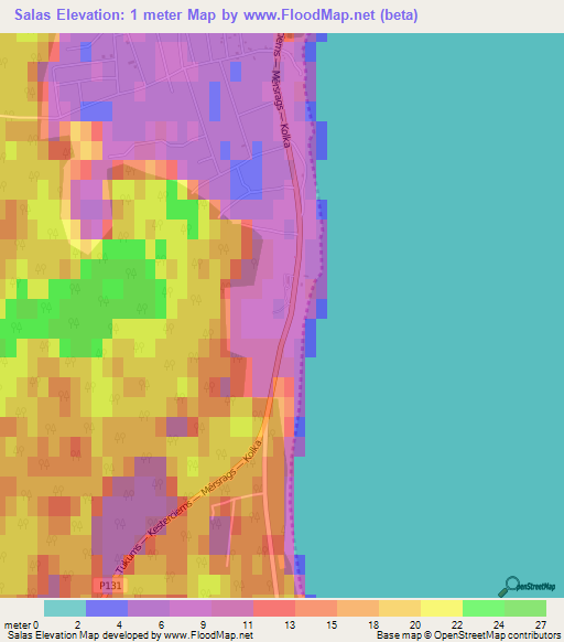 Salas,Latvia Elevation Map