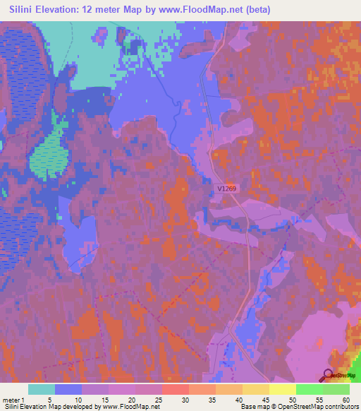 Silini,Latvia Elevation Map