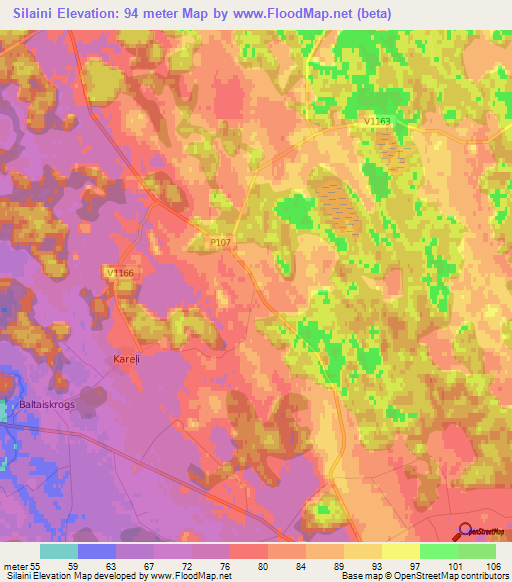 Silaini,Latvia Elevation Map