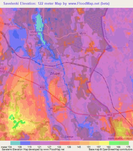 Savelenki,Latvia Elevation Map