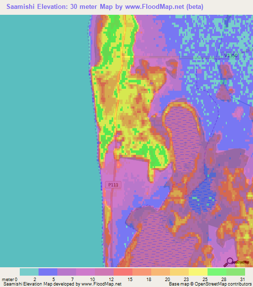 Saamishi,Latvia Elevation Map