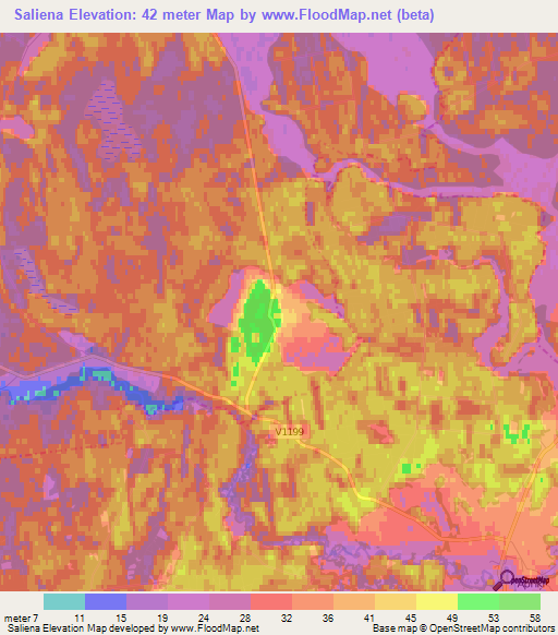 Saliena,Latvia Elevation Map