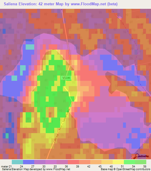 Saliena,Latvia Elevation Map