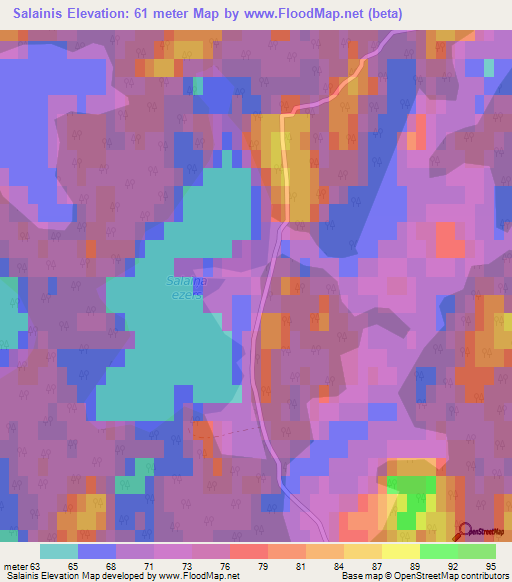 Salainis,Latvia Elevation Map