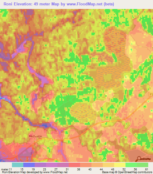 Roni,Latvia Elevation Map