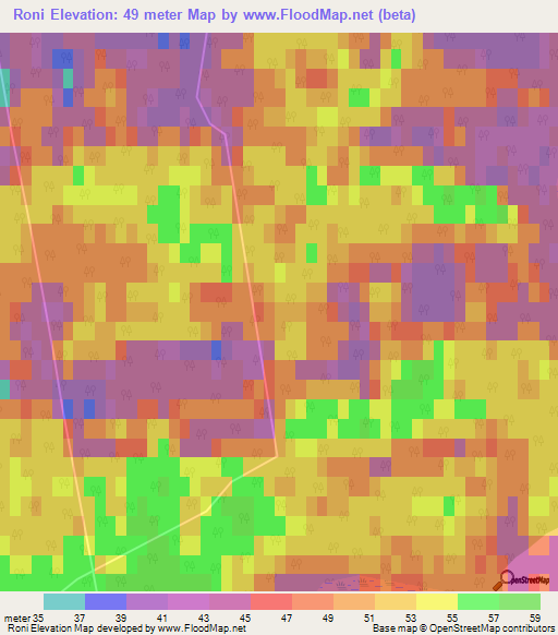 Roni,Latvia Elevation Map