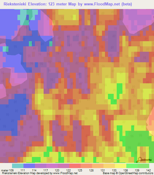 Riekstenieki,Latvia Elevation Map