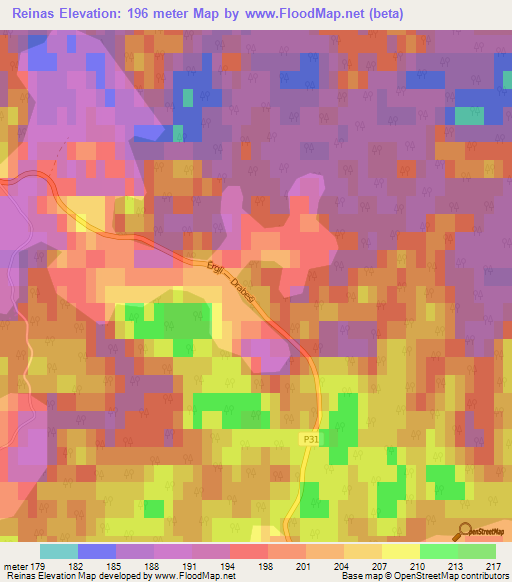 Reinas,Latvia Elevation Map