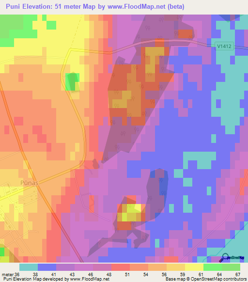 Puni,Latvia Elevation Map