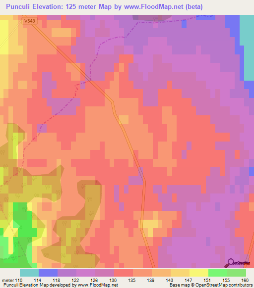 Punculi,Latvia Elevation Map