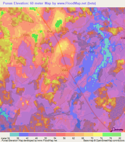 Punas,Latvia Elevation Map