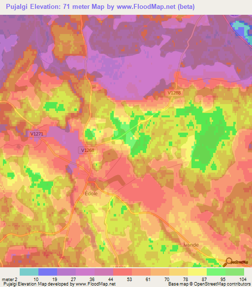 Pujalgi,Latvia Elevation Map