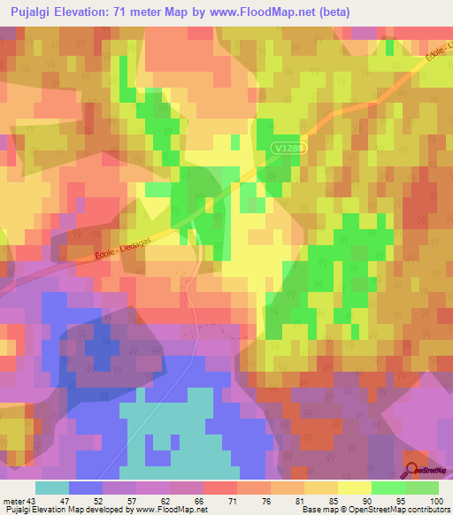 Pujalgi,Latvia Elevation Map