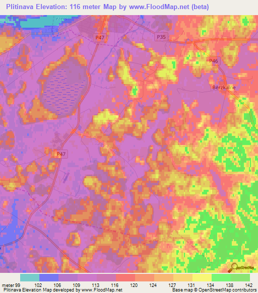 Plitinava,Latvia Elevation Map