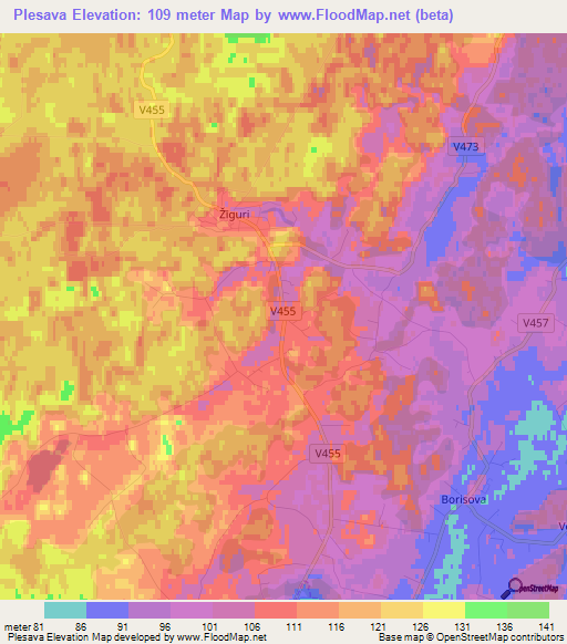 Plesava,Latvia Elevation Map