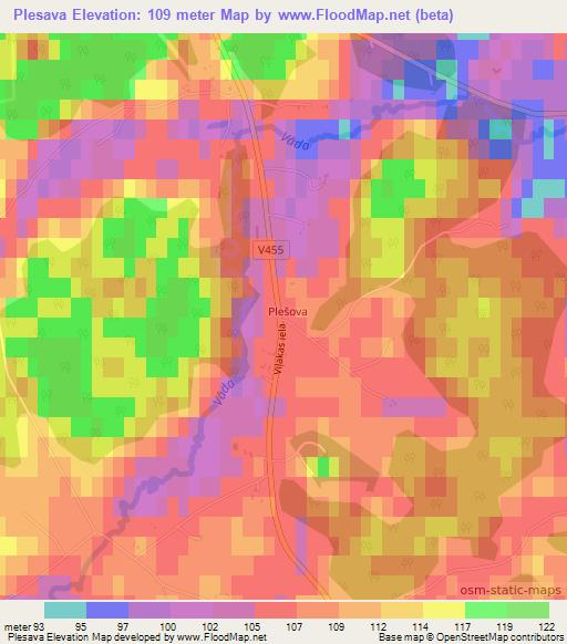 Plesava,Latvia Elevation Map