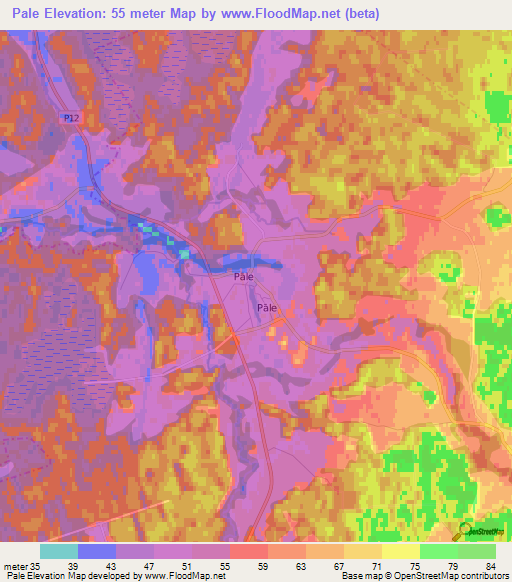 Pale,Latvia Elevation Map