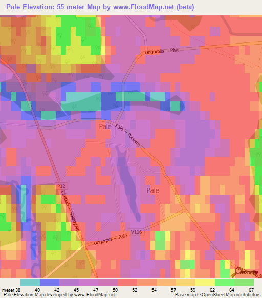 Pale,Latvia Elevation Map