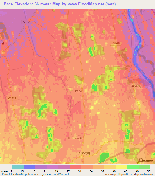 Pace,Latvia Elevation Map