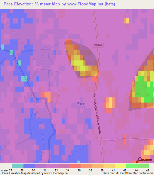 Pace,Latvia Elevation Map