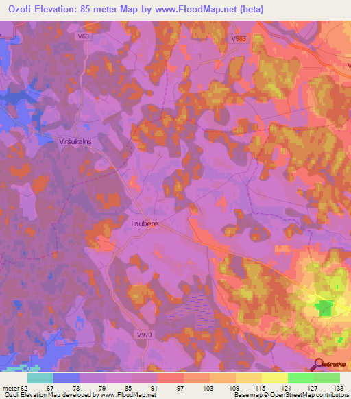 Ozoli,Latvia Elevation Map