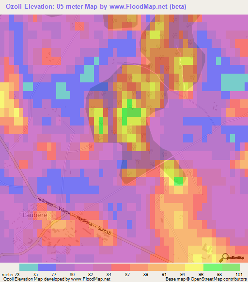 Ozoli,Latvia Elevation Map