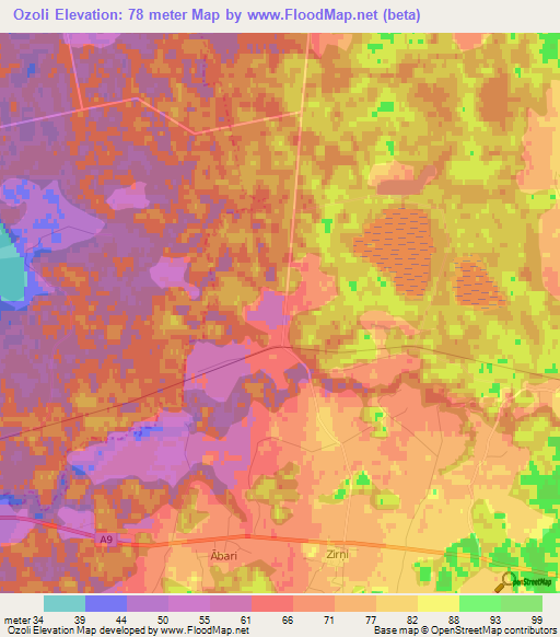 Ozoli,Latvia Elevation Map