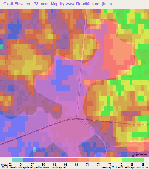 Ozoli,Latvia Elevation Map