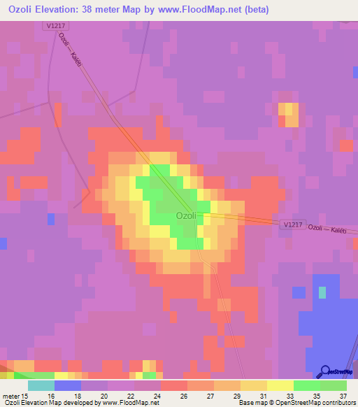 Ozoli,Latvia Elevation Map