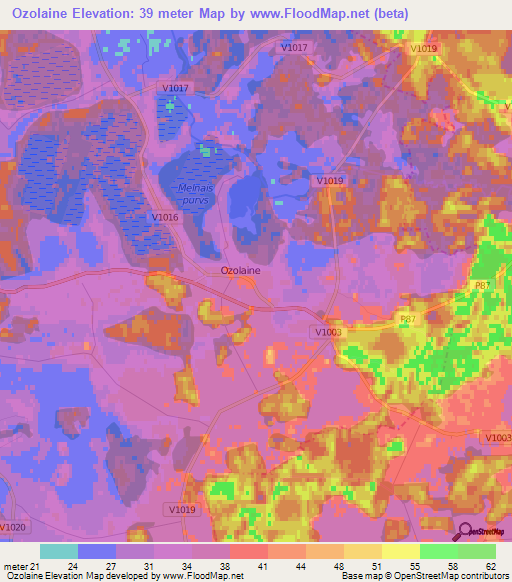 Ozolaine,Latvia Elevation Map