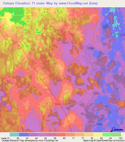 Oslejas,Latvia Elevation Map