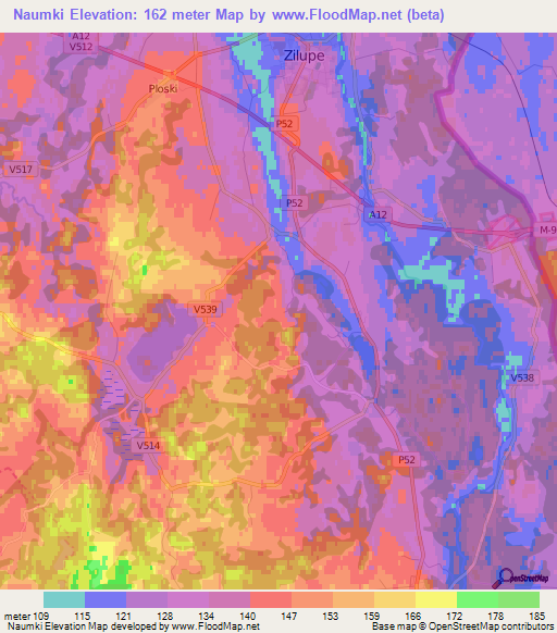 Naumki,Latvia Elevation Map