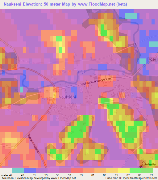 Naukseni,Latvia Elevation Map