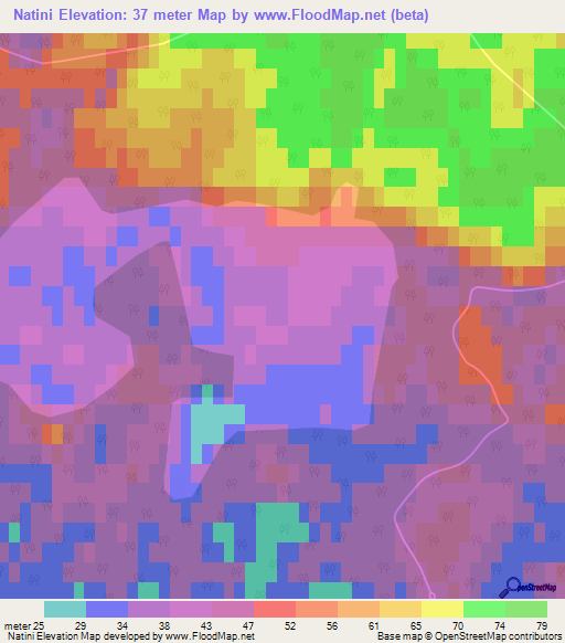 Natini,Latvia Elevation Map