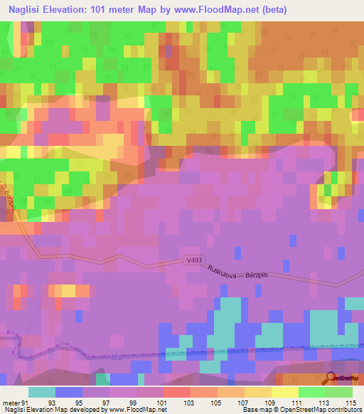 Naglisi,Latvia Elevation Map