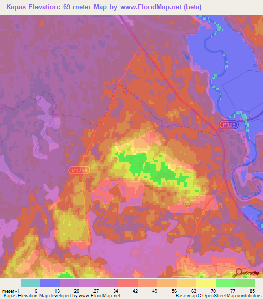 Kapas,Latvia Elevation Map