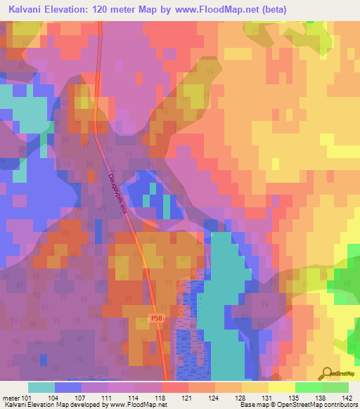 Kalvani,Latvia Elevation Map