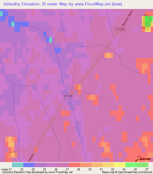 Islitsskiy,Latvia Elevation Map