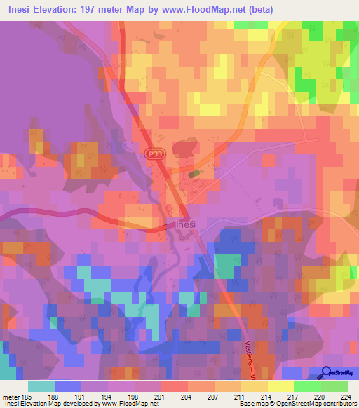 Inesi,Latvia Elevation Map