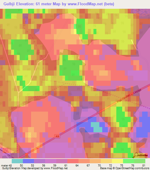 Gulbji,Latvia Elevation Map