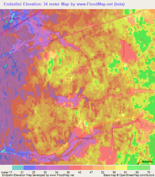 Endzelini,Latvia Elevation Map