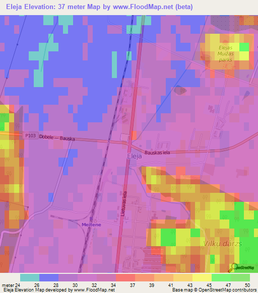 Eleja,Latvia Elevation Map