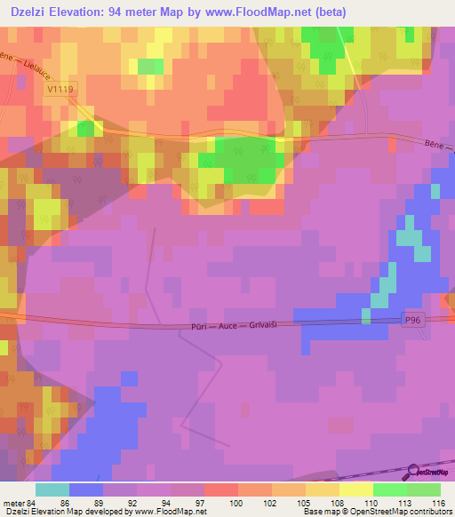 Dzelzi,Latvia Elevation Map