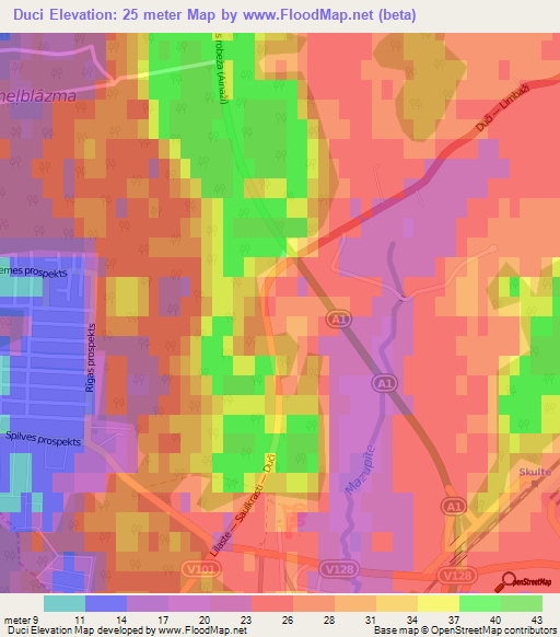 Duci,Latvia Elevation Map