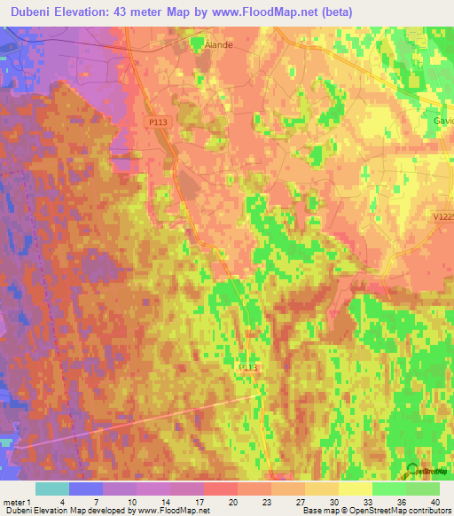 Dubeni,Latvia Elevation Map