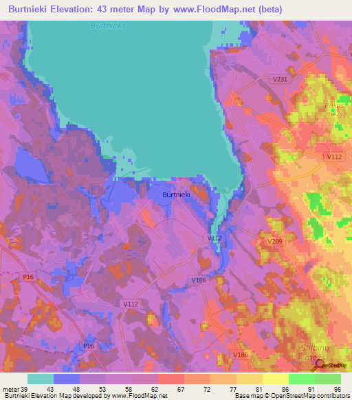 Burtnieki,Latvia Elevation Map