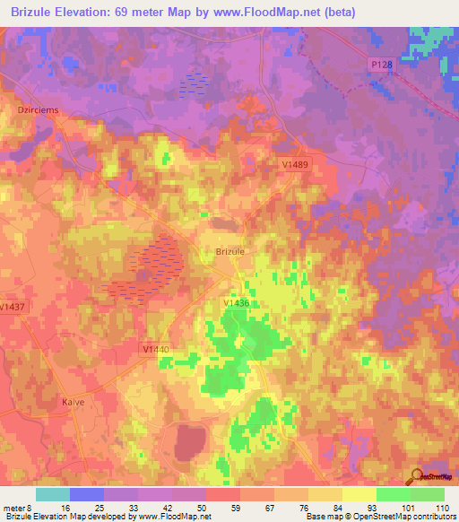 Brizule,Latvia Elevation Map