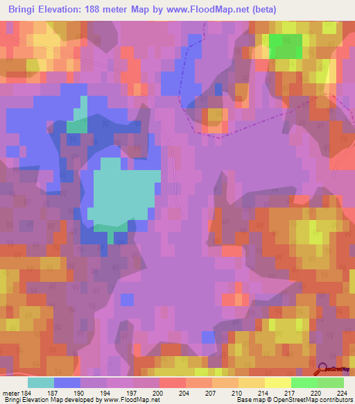 Bringi,Latvia Elevation Map